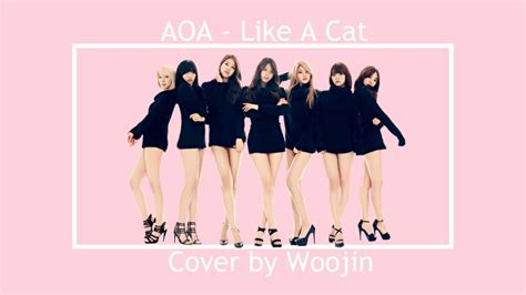 [short Cover] Aoa 에이오에이 Like A Cat Youtube