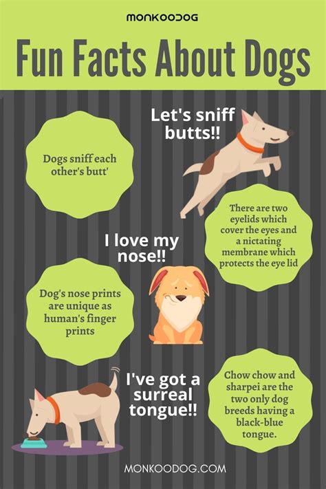 Did You Know Fun Facts About Dogs Dog Facts Dog Facts Interesting
