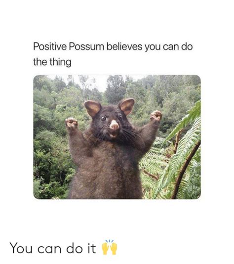 Positive Possum Believes You Can Do The Thing You Can Do It 🙌 Possum