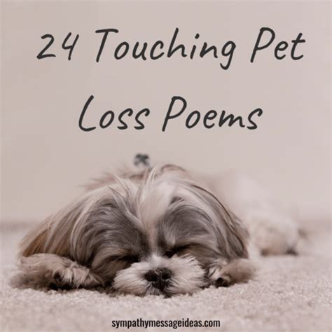 Pet Loss Poems Archives Sympathy Card Messages