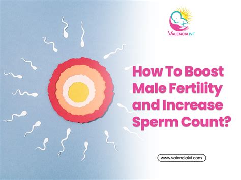 How To Boost Male Fertility And Increase Sperm Count Valencia Ivf