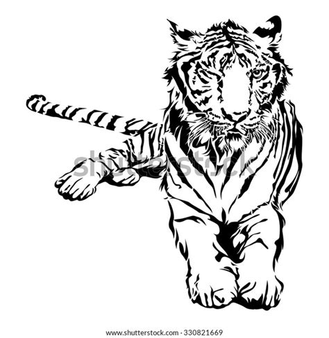 Tiger Sitting Black White Vector Illustration Stock Vector Royalty