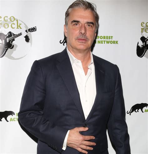 Chris Noth Accused Of Sexual Assault By Two Women And He Responds Perez Hilton
