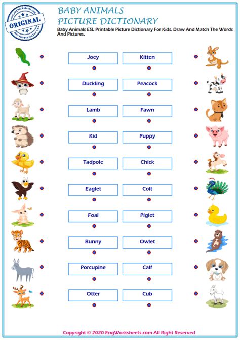 Baby Animals Printable English Esl Vocabulary Worksheets Engworksheets
