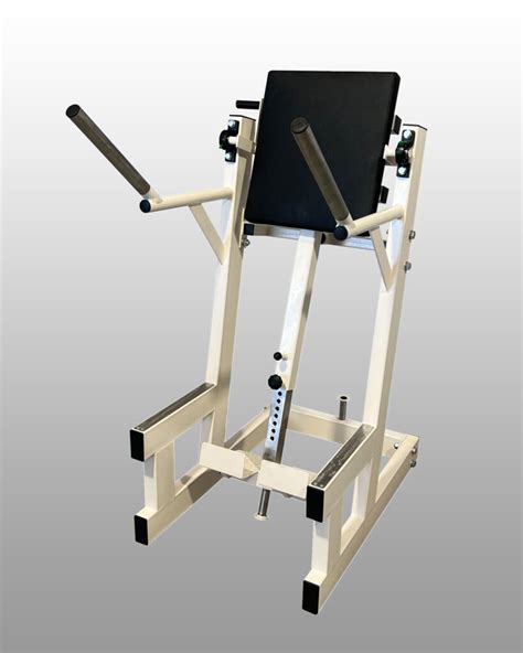E4 Leg Raise Abdominal Machine Gym Steel Professional Gym Equipment