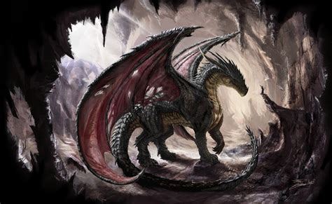 Medieval Dragon Wallpapers Top Free Medieval Dragon Backgrounds