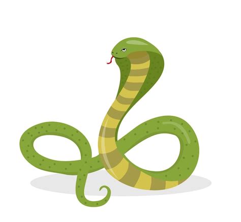 Premium Vector King Cobra Flat Cartoon Style Snake Isolated On White