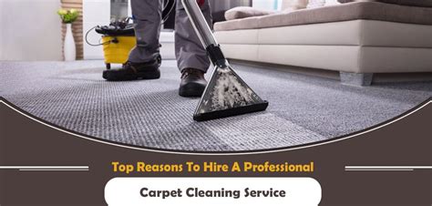 Top Reasons To Hire A Professional Carpet Cleaning Service