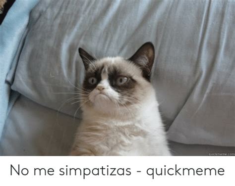 25 Best Memes About Simpatizas Simpatizas Memes