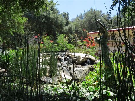 A Unique Fallbrook Find Myrtle Creek Botanical Gardens And Nursery