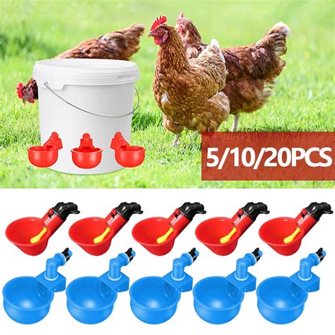 5 10 20 adet otomatik kümes hayvanları suluklar tavuk içecek bardakları