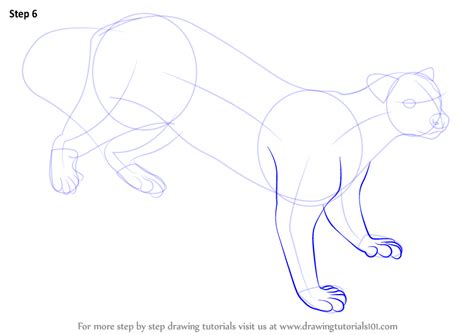 Learn How To Draw A Fossa Wild Animals Step By Step Drawing Tutorials