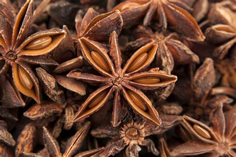 Free Images Star Leaf Flower Food Spice Herb Produce Seasoning Condiment Ingredients