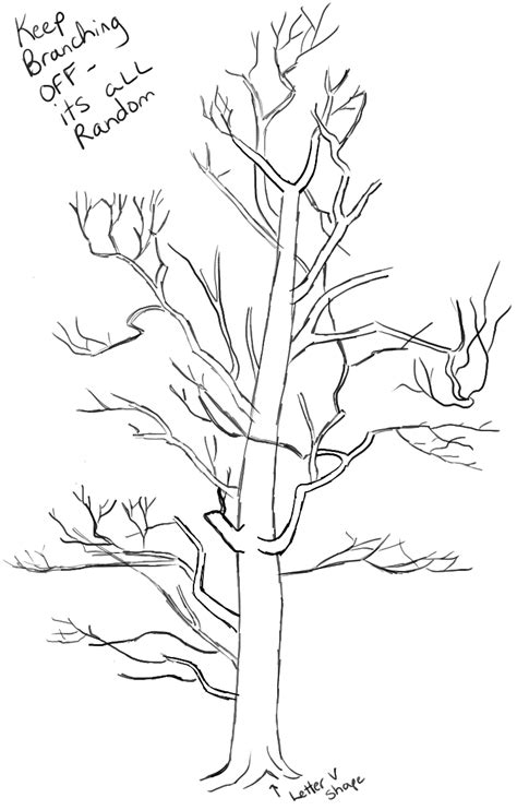 How To Draw Trees Drawing Realistic Trees In Simple Steps How To