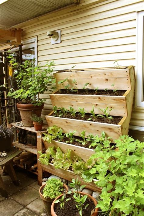Easy And Inexpensive Vertical Gardening For Small Spaces Stairs Like