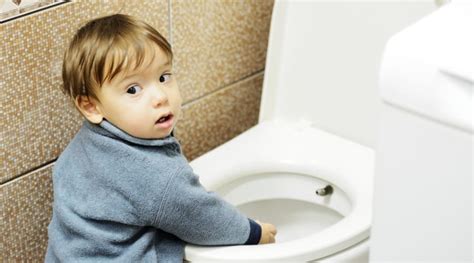 What To Do When Your Toddler Is Playing With Poop 123 Potty Train Me