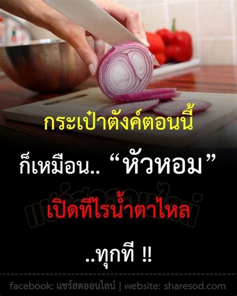 Bongkoch.com เว็บไซต์ขายสินค้า และเผยแพร่ข้อมูลสนับสนุนลูกค้าอย่างเป็นทางการของบริษัท บงกช พับลิชชิ่ง จำกัด ผู้จัดพิมพ์การ์ตูนบงกชคอมมิคส์. สาวเมืองลิง🐒 "เงินสำคัญ"💰แต่ไม่ใช่ "ที่สุด"