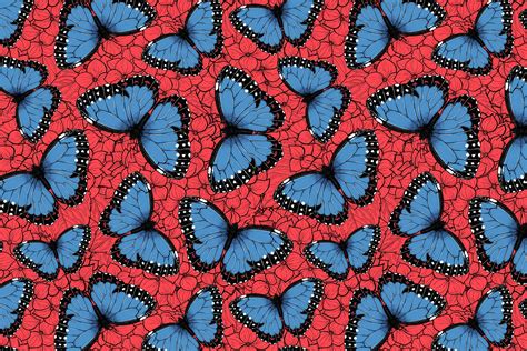 Blue Morpho Butterflies Wallpaper Happywall