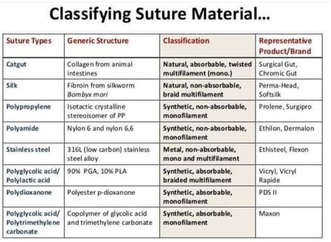 Importance Of Suture Materials In Veterinary Surgery What Why And