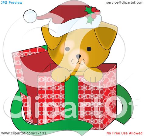 Cute Yellow Lab Puppy Dog Wearing A Santa Hat With Holly On It Peeking