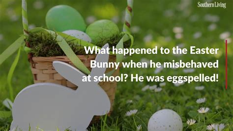 Funny Easter Jokes And Puns Everyone Will Love