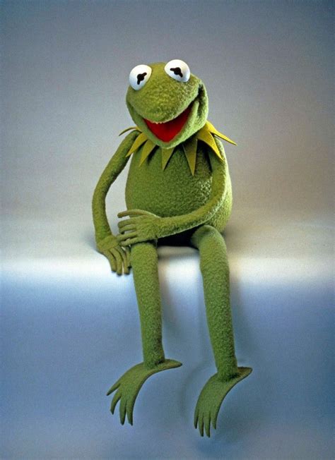 Kermit The Frog Puppet Girl Humor Mom Humor Kermit The Frog Puppet