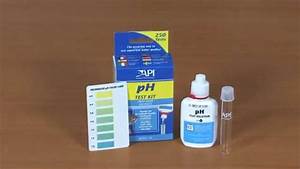 How To Use The Api Freshwater Ph Test Kit Big Al 39 S Youtube