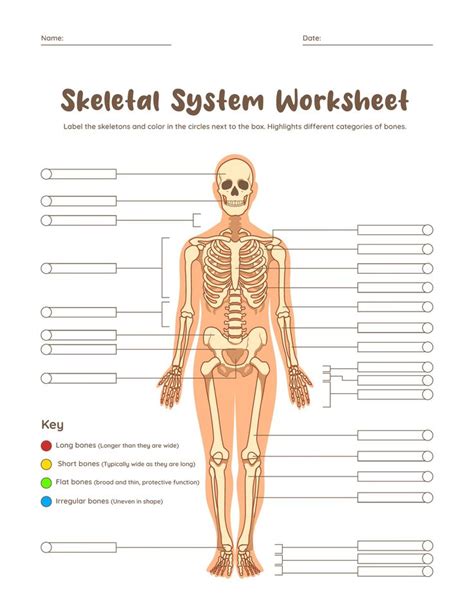 Best Medical Terminology Worksheets Printable Medical Terminology