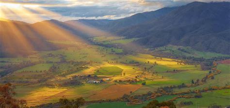 Vegetation Australia State Of The Environment Report