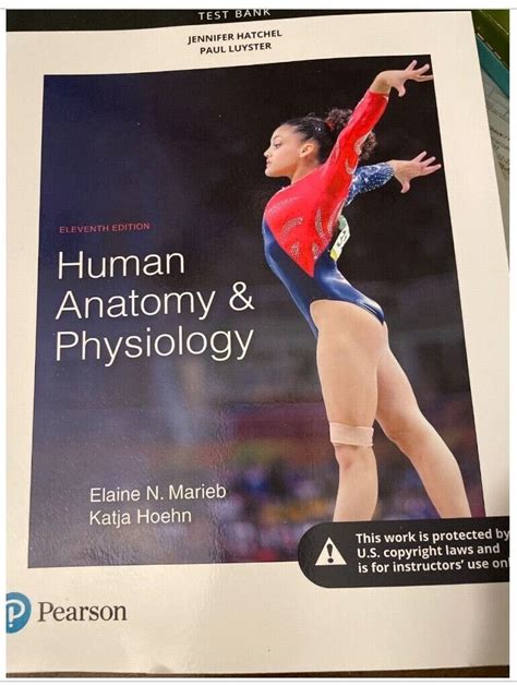 Test Bank Answers Link Essentials Human Anatomy Physiology 12th Ed