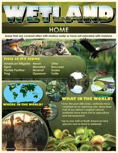 Wetland Home Cheap Chart Carson Dellosa Publishing 9780768234374