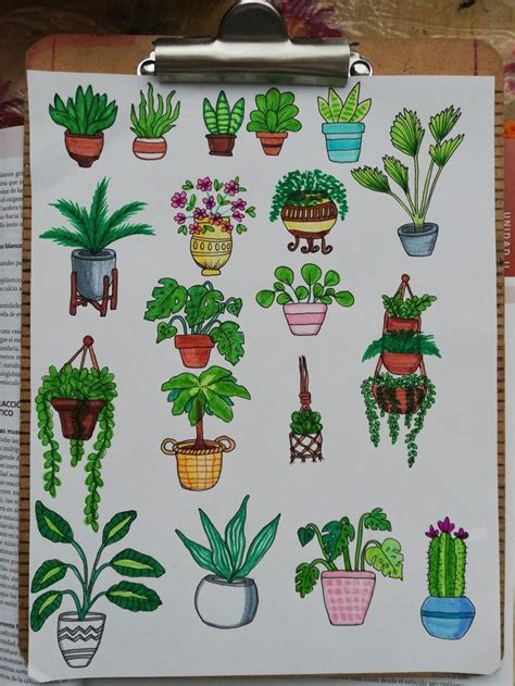 Dibujo De Plantas Como Dibujar Plantas Como Dibujar Una Planta