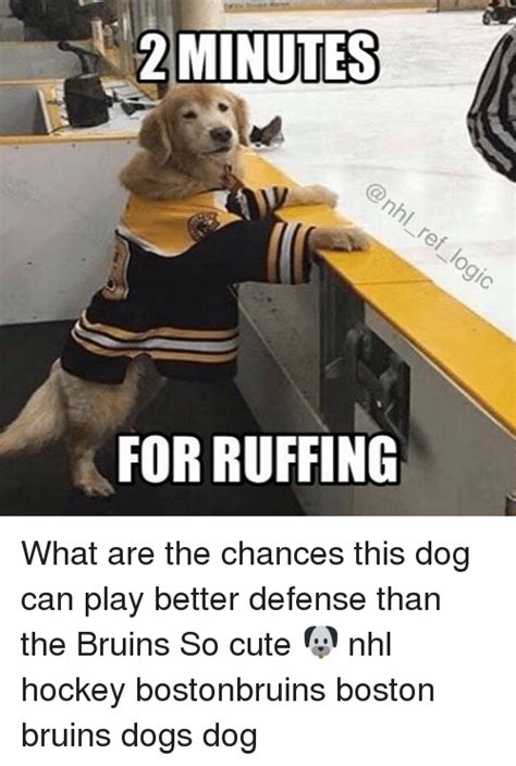 Welcome to boston bruins memes! 25+ Best Memes About Bruins | Bruins Memes