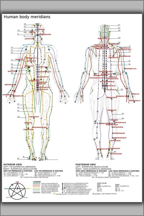 24x36 Gallery Poster Chinese Or Human Body Meridians For Martial