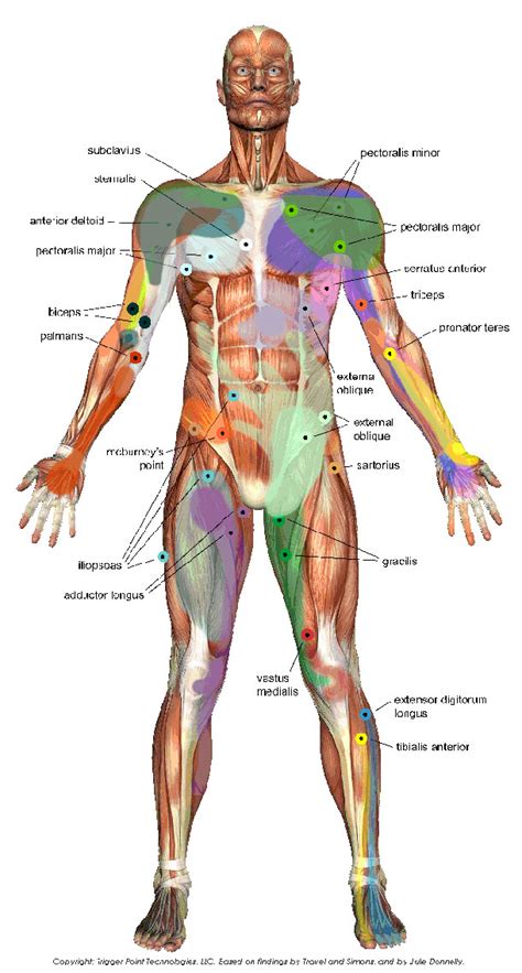 Trigger Points Physio Professionals