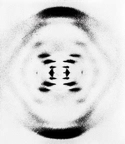 Clay minerals are one of the most diverse minerals but all have a commonalty of crystal or grain sizes below 2 μm. DNA - 100 Years of X-ray Crystallography100 Years of X-ray ...