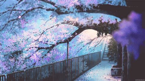 BURNING...LOVE!! : Photo | Anime scenery, Scenery, Anime ...