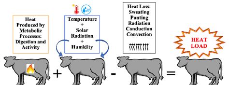 Heat Stress In Dairy Cows Download Scientific Diagram