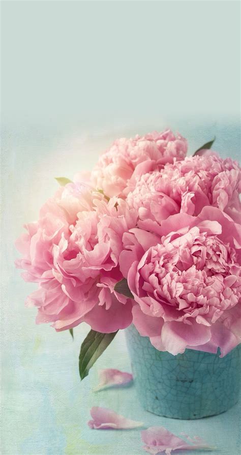 Peonies Find More Cute Vintage Wallpapers For Your