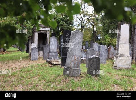 Historic Jewish Gravestones In The Old Jewish Cemetery Of The Vienna