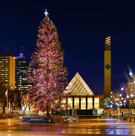From Whitecourt To Edmonton The T Of A Christmas Tree Millar Western