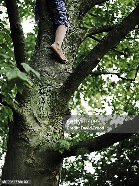 Barefoot Climber Photos And Premium High Res Pictures Getty Images