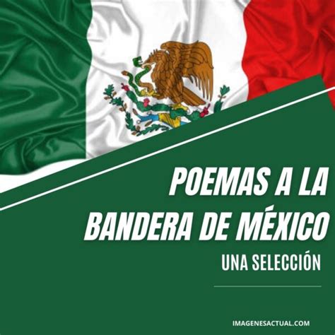 Poemas De La Bandera 6 Imágenes Actual