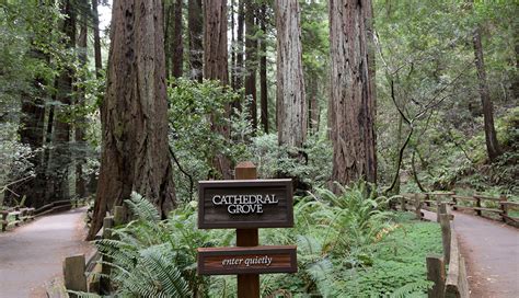 Things To Know About Muir Woods National Monument