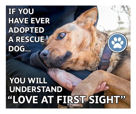 Free Pics Animalrights Rescue Dog Quotes Animal Rescue Quotes