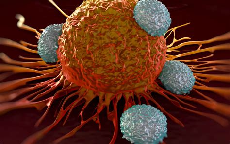 L immunothérapie un nouveau traitement contre le cancer