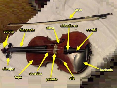 Hola Hoy Les EnseÑare Las Partes Del Violin• Orquestaamino Y Rivera