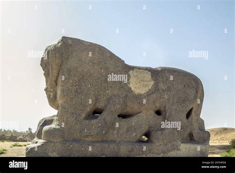 Statue Of Lion Of Babylon Under The Sunlight And A Blue Sky In Iraq