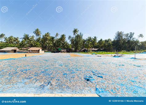 Thandwe Village Ngapali Beach In Myanmar Stock Photo Image Of