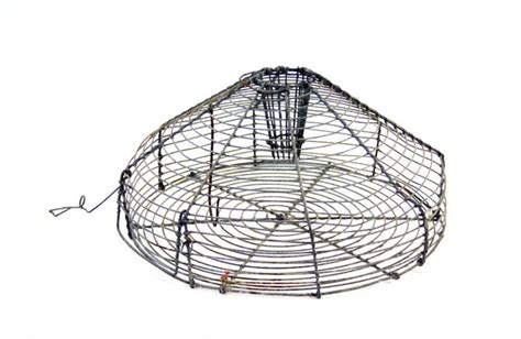 Octopus Trap Wire 1920 1970 981121 Ehive